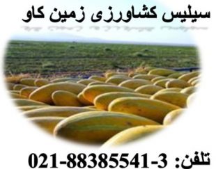 مزیت های استفاده از سیلیس کشاورزی زمین کاو