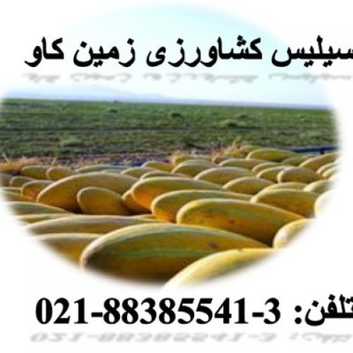 مزیت های استفاده از سیلیس کشاورزی زمین کاو