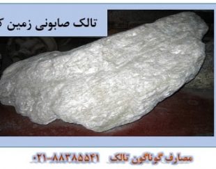 مصارف گوناگون تالک Talc