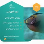 دوره آموزشی پرورش ماهی زینتی