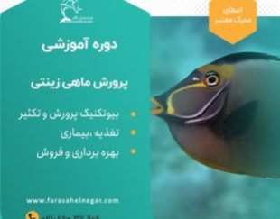 دوره آموزشی پرورش ماهی زینتی