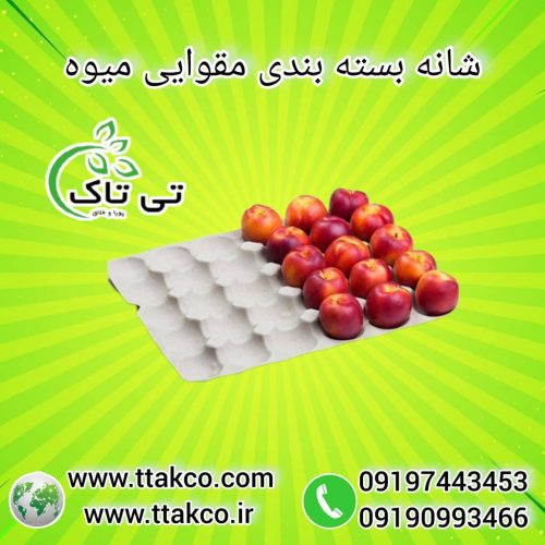 نبشی مقوایی ، نبشی مقوایی کارتن 09199762163