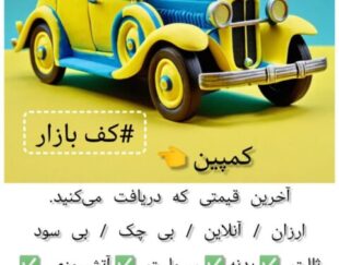 بیمه شخص ثالث اقساطی بلند مدت