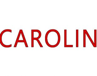 پارکت لمینت کارولین CAROLIN