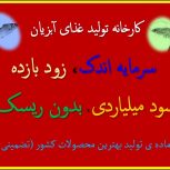 سرمایه گذاری با سود میلیاردی و بدون ریسک