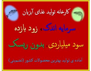 سرمایه گذاری با سود میلیاردی و بدون ریسک