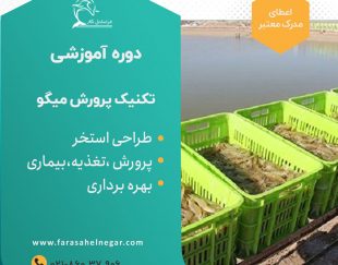 دوره آموزشی پرورش میگو