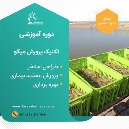 دوره آموزشی پرورش میگو