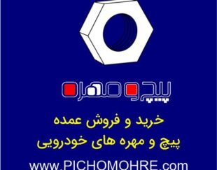 پخش عمده پیچ و مهره و خرده ریزهای خودرو