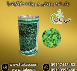 فروش بذر شبدر زینتی رونده تزئینی جهت زیبا سازی محوطه حیاط و باغ 09197443453