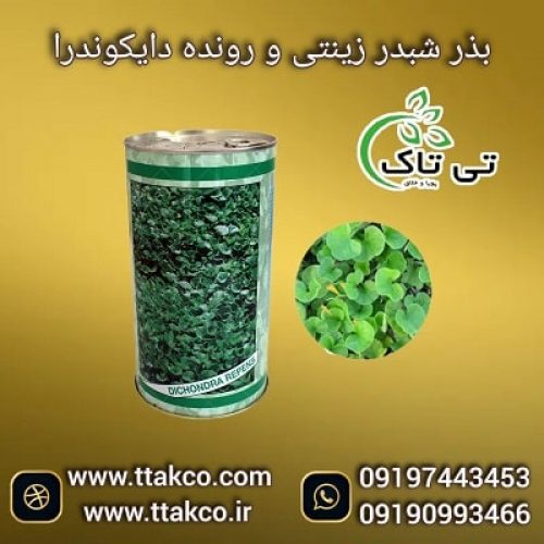 فروش بذر شبدر زینتی رونده تزئینی جهت زیبا سازی محوطه حیاط و باغ 09197443453