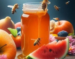 🍯 عسل طبی و ارگانیک عمده و خرده