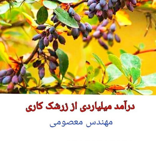 درآمد میلیاردی از باغداری