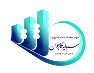 موسسه خدمات مدیریت سرمایه نگار جوان