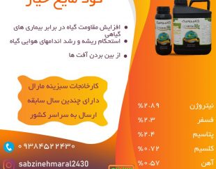 فروش کود اختصاصی خیار سبز