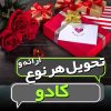 تحویل کادو و آزاد کردن پرنده