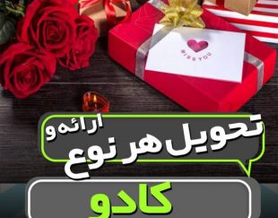 تحویل کادو و آزاد کردن پرنده