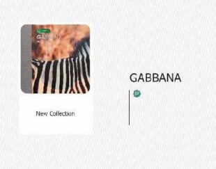 آلبوم کاغذ دیواری گابانا  GABBANA