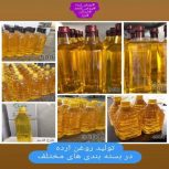 روغن ارده کنجد دلربا