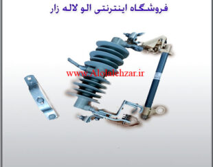 کات اوت نیروکلید پارس