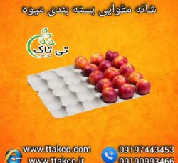 قیمت عمده شانه مقوایی میوه 09190993466