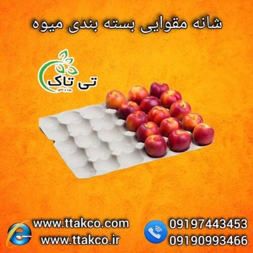 قیمت عمده شانه مقوایی میوه 09190993466