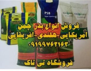 بذرچمن ، بذر چمن هلندی 09199762163