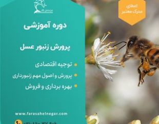 دوره آموزشی پرورش زنبور