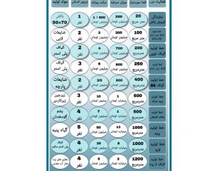 راه اندازی کسب و کار