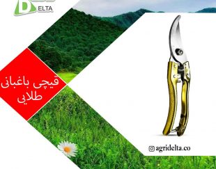 قیچی باغبانی طلایی