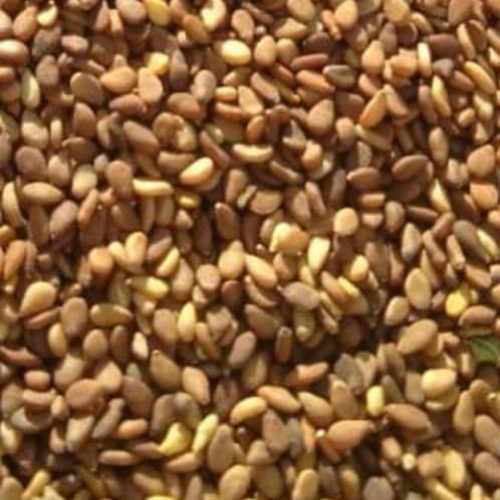 فروش کنجد بوداده مخصوص ارده گیری