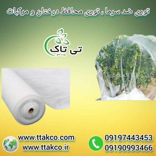 سالن آرایش عروس و زیبایی پوست و مو بیوتی کویین