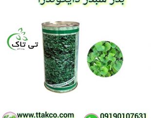 قیمت و خرید بذر شبدر زینتی دایکوندرا (ایتالیایی)