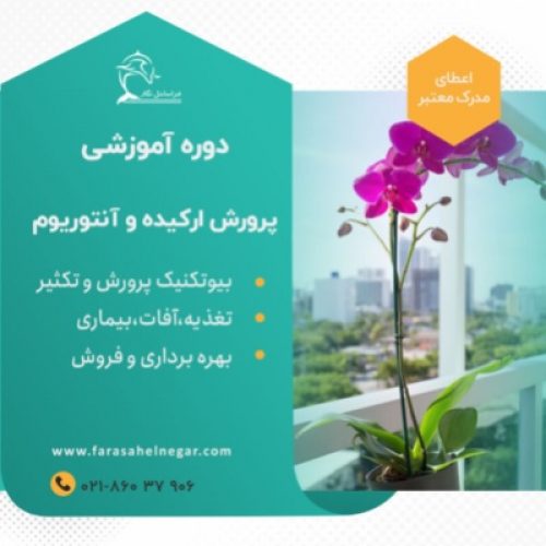 دوره آموزشی پرورش گل شاخه بریده ارکیده و آنتوریوم