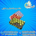 شانه میوه پلاستیکی و مقوایی ارومیه 09199762163