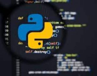 انجام پروژهای کامپیوتری با نرم افزار پایتون python