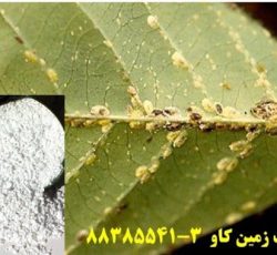 پرلیت در تولید سموم و آفت کش ها Perlite