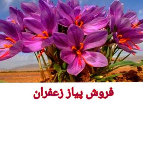 درآمد میلیاردی از باغداری