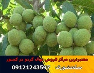 فروش و عرضه انواع نهال گردو(www.gerdo.win)