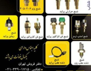 شرکت لاک پارت تولید کننده انواع فشنگی خودرو، سنسورهای الکتریکی خودرو،شمع فن انژکتور پراید،فشنگی دنده عقب،شمع استپ ترمز،شمع فن کاربراتور پراید و….