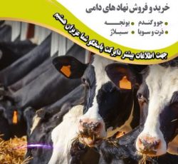 گروه تولیدی بازرگانی زرین نهاده