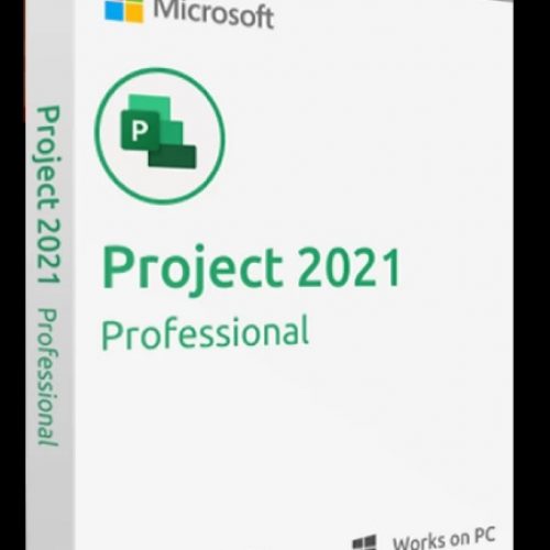 Project Professional 2021 – لایسنس اورجینال پروجکت 2021 پروفشنال