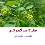 درآمد میلیاردی از باغداری