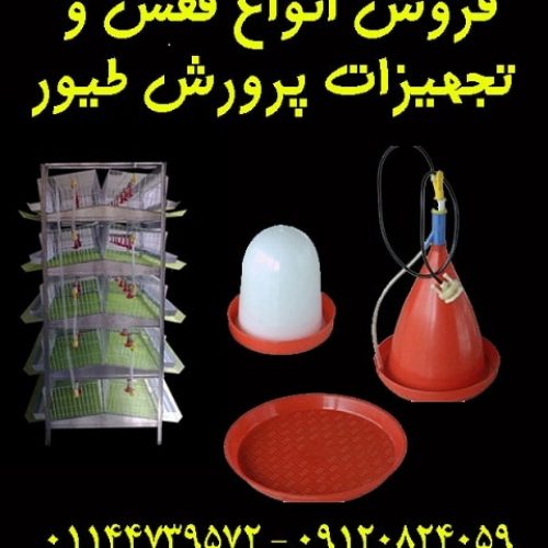 فروش انواع تجهیزات مرغداری