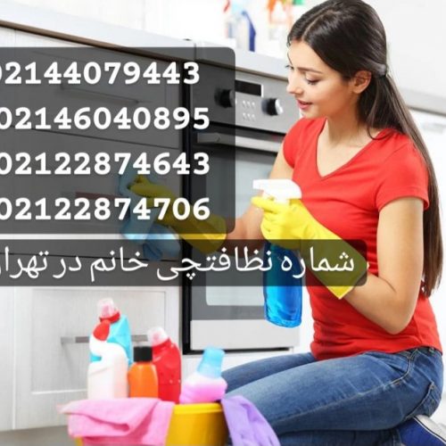 نظافتچی خانم در تهران