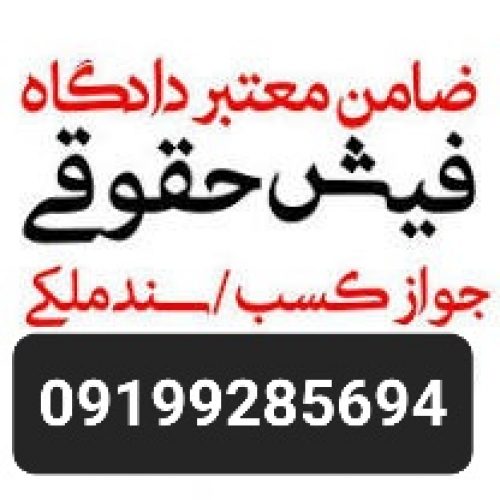 تامین کفیل/تامین ضامن/تامین فیش حقوقی 09199285694