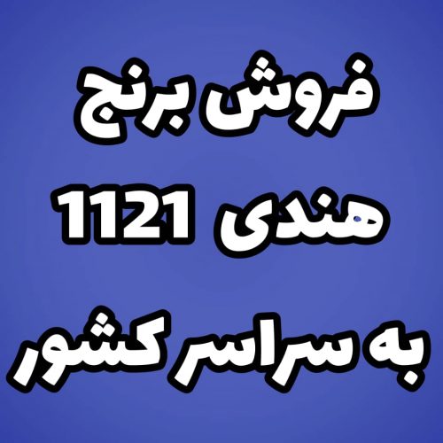 فروش برنج هندی 1121 عمده