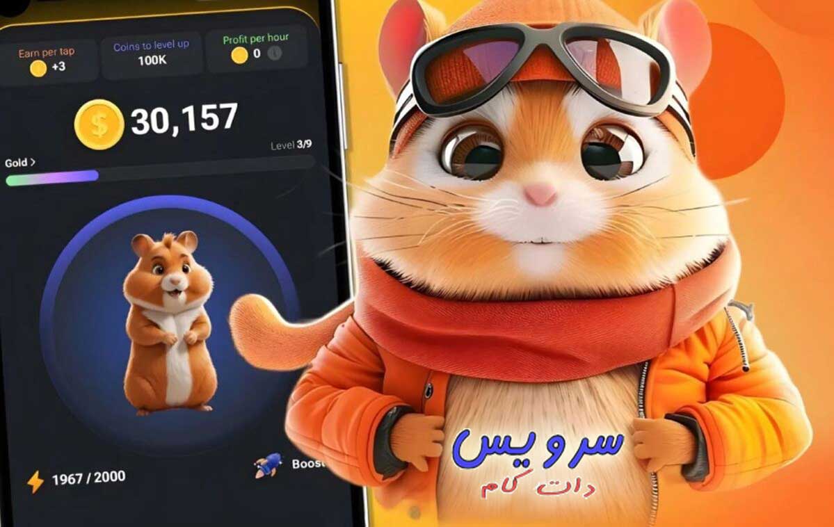 همستر کامبت - آموزش کامل Hamster Kombat ( با کد مورس و دیلی کمبو امروز )